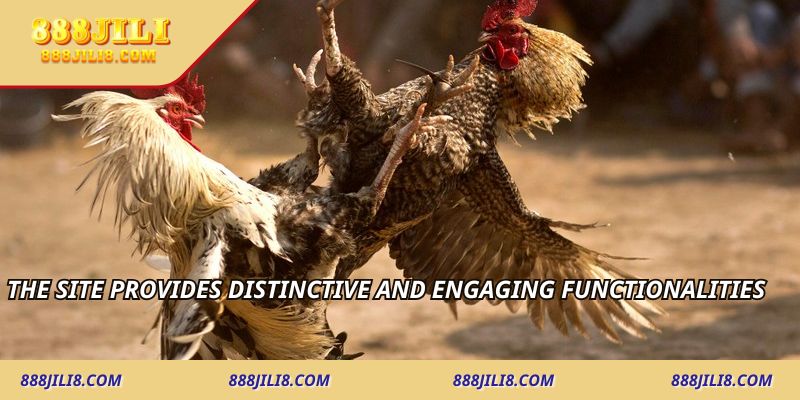 The site provides distinctive and engaging functionalities