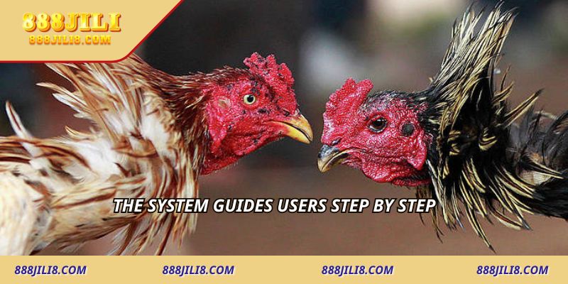 The system guides users step by step