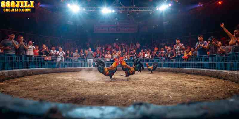 Online Sabong Philippines 2026 | Live Cockfighting