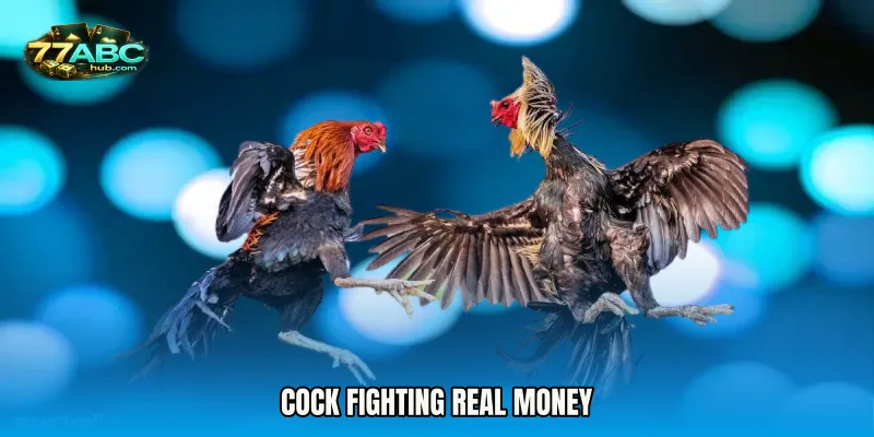 Cock Fighting real money