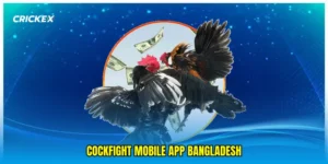 cockfight mobile app Bangladesh