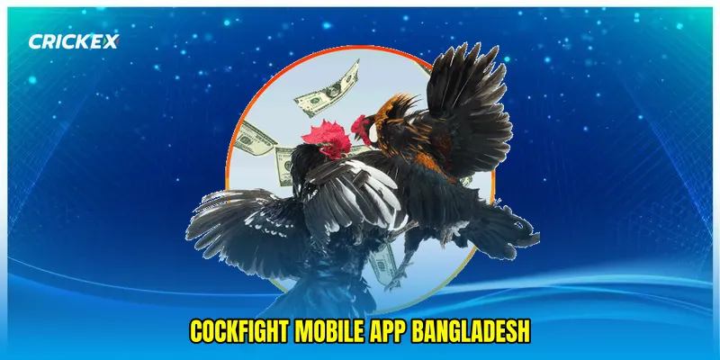 cockfight mobile app Bangladesh