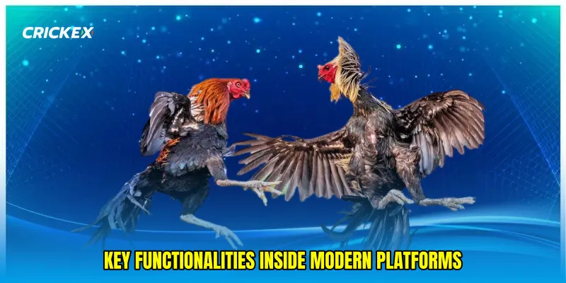 Key Functionalities Inside Modern Platforms