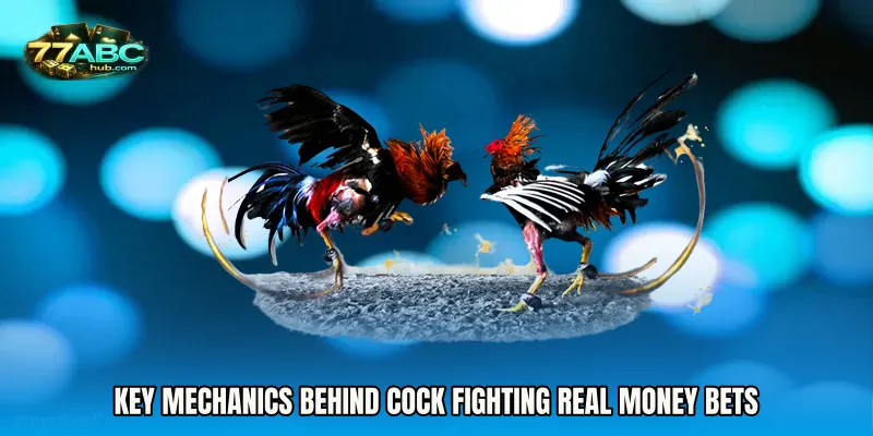 Key Mechanics Behind Cock Fighting Real Money Bets